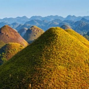 Meet your Posher, Mg